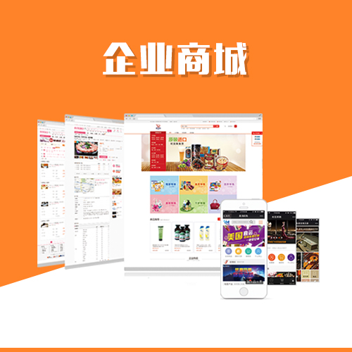 考试APP题库建设与更新的数据治理