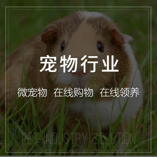 政务APP信息发布流程的安全加固实践